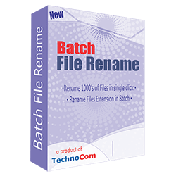 Batch File Rename