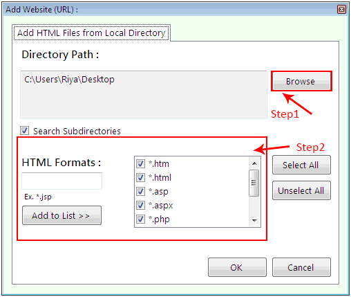 Meta Tag Extractor